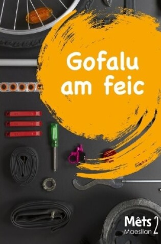 Cover of Mêts Maesllan 2 - Gofalu am Feic