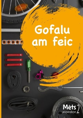 Book cover for Mêts Maesllan 2 - Gofalu am Feic