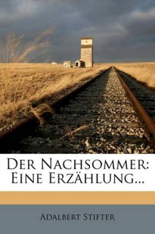 Cover of Der Nachsommer. Eine Erzahlung, Vierte Auflage