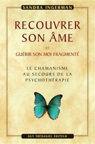 Cover of Recouvrer Son AME