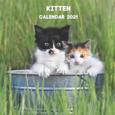 Book cover for Kitten Calendar 2021