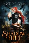 Book cover for Shadow Thief