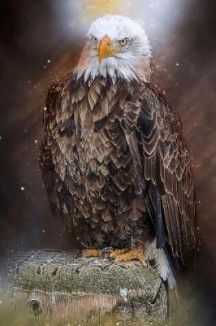 Cover of Bald Eagle the Ultimate Bird of Prey