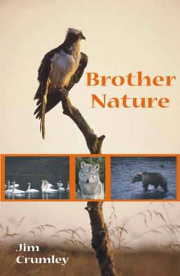 Book cover for Brother Nature