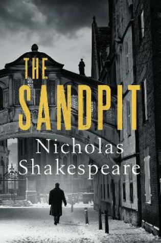 Cover of The Sandpit