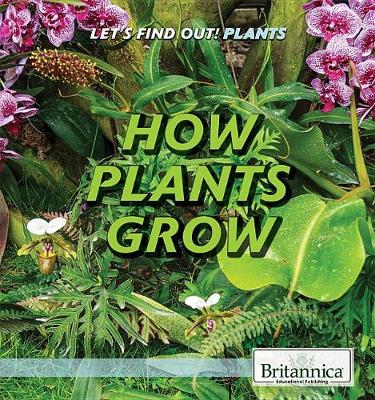 Book cover for How Plants Grow