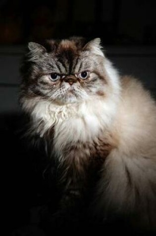 Cover of The Himalayan Cat Journal "Don't Even Think About Petting Me."