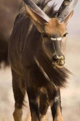 Book cover for Nyala Antelope Journal