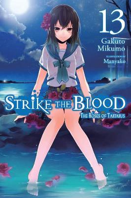 Book cover for Strike the Blood, Vol. 13 (light novel)