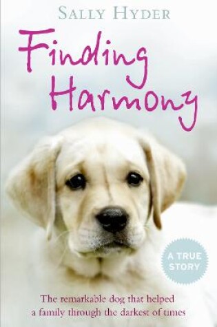 Cover of Finding Harmony