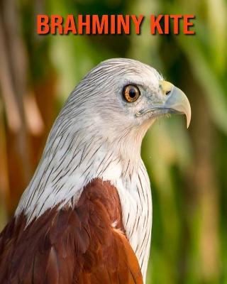 Book cover for Brahminy kite