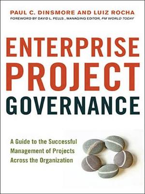 Book cover for Enterprise Project Governance