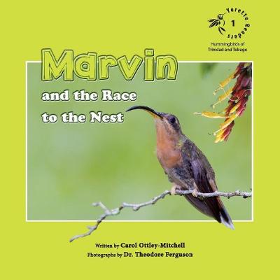 Book cover for Marvin and the Race to the Nest
