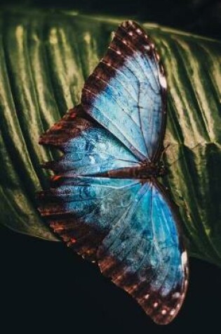 Cover of Blue Butterfly Journal