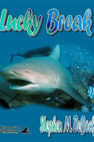 Cover of Lucky Break