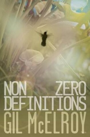 Cover of NonZero Definitions