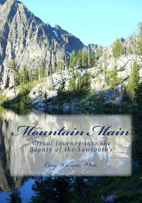 Book cover for Mountain Main