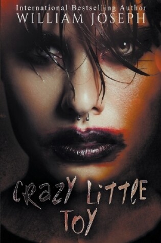 Cover of Crazy Little Toy