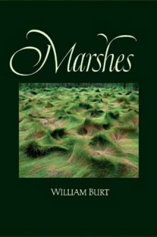 Cover of Marshes