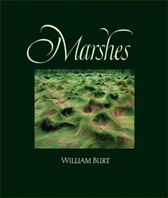 Book cover for Marshes