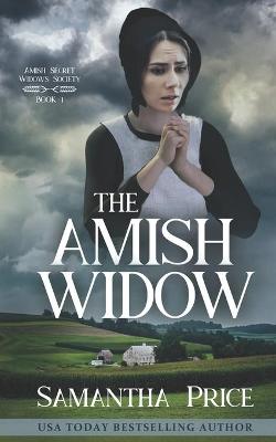 Book cover for The Amish Widow