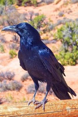 Book cover for Raven at Arches National Park Utah USA Journal