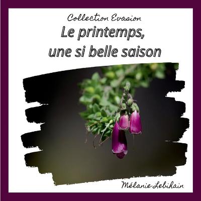 Book cover for Le printemps, une si belle saison