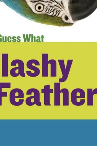 Cover of Flashy Feathers