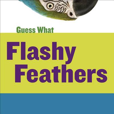 Cover of Flashy Feathers