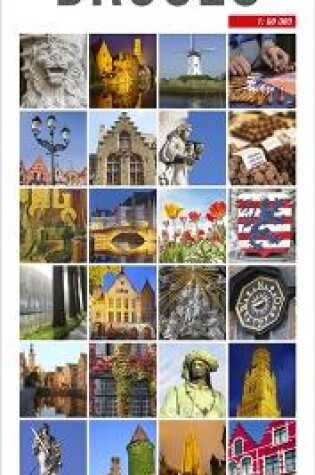 Cover of Insight Flexi Map: Bruges