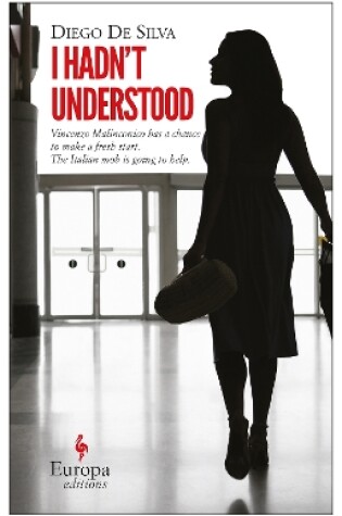 Cover of I Hadn't Understood