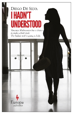 Book cover for I Hadn't Understood