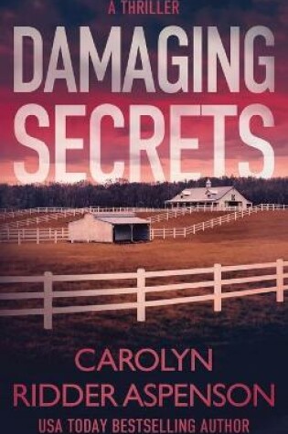 Cover of Damaging Secrets