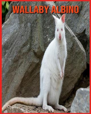 Cover of Wallaby Albino