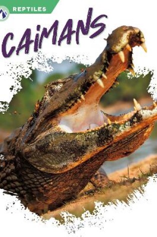 Cover of Reptiles: Caimans