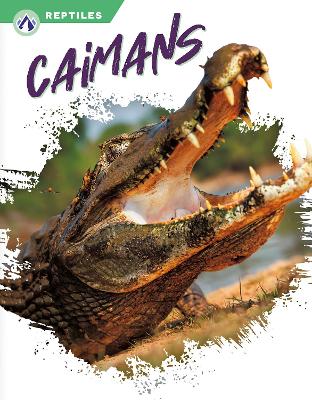 Book cover for Reptiles: Caimans