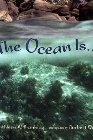 Cover of The Ocean Is...