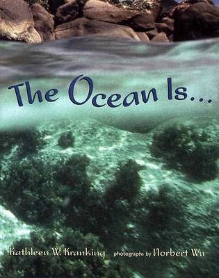 Book cover for The Ocean Is...