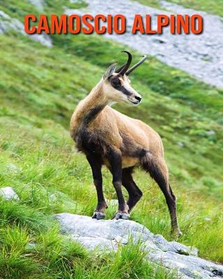 Book cover for Camoscio alpino