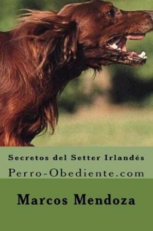 Cover of Secretos del Setter Irlandes