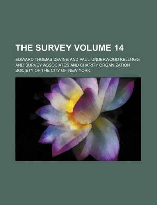 Book cover for The Survey Volume 14