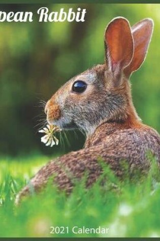 Cover of European Rabbit 2021 Calendar