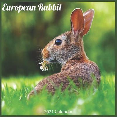 Book cover for European Rabbit 2021 Calendar