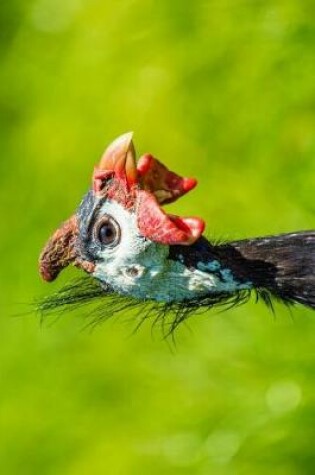 Cover of Guinea Fowl Portrait Journal