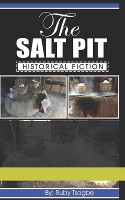 Book cover for The Salt Pit