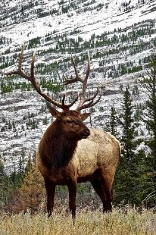 Cover of Magnificent Elk in a Mountain Meadow Nature Journal