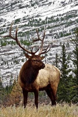 Book cover for Magnificent Elk in a Mountain Meadow Nature Journal