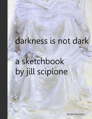 Book cover for Darkness is Not Dark