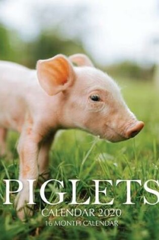 Cover of Piglets Calendar 2020