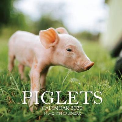 Book cover for Piglets Calendar 2020